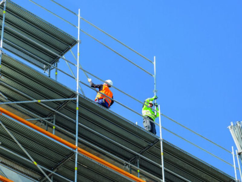 prime scaffold